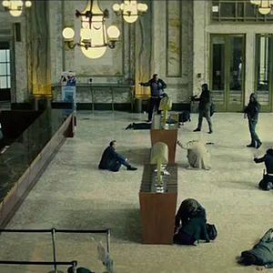 Bilder Jeder gegen Jeden