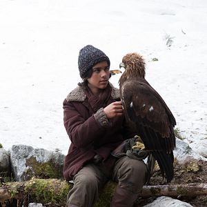 Bilder Wie Brüder im Wind