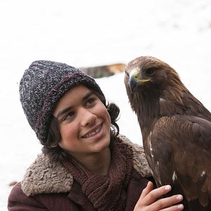 Bilder Wie Brüder im Wind