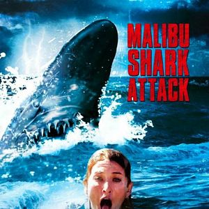 Bilder Shark Attack - Sie lauern in der Tiefe!