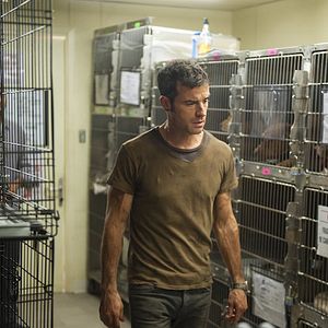 Bilder The Leftovers