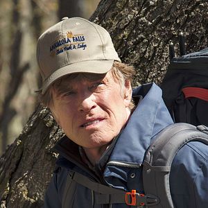 Bilder Picknick mit Bären