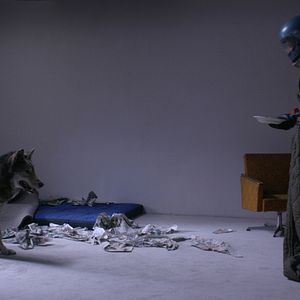 Bilder Lilith Stangenberg