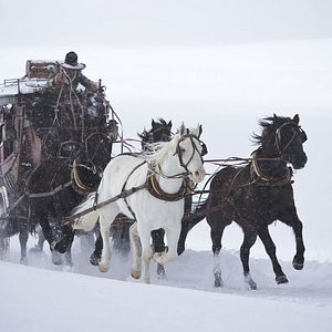 Bilder The Hateful 8