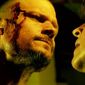 Bilder Kein Tier so wild