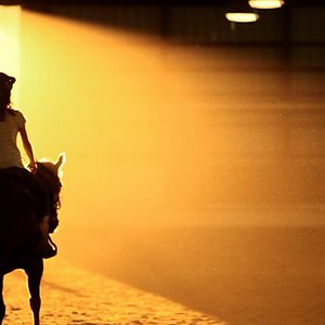 Bilder Mein treues Pferd "Bär"