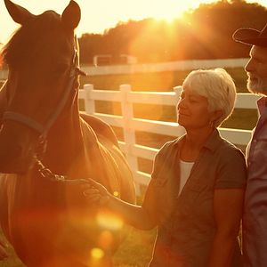 Bilder Mein treues Pferd "Bär"