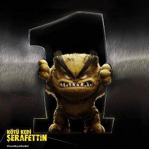 Bilder Kötü Kedi Serafettin - Bad Cat