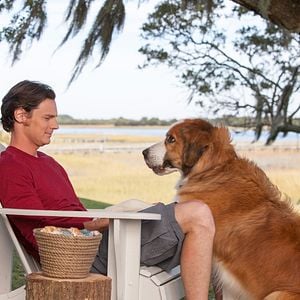 Bilder Benjamin Walker