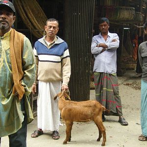 Bilder Voices Of Violence - Stimmen der Gewalt