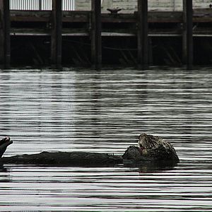 Bilder Passion For Planet