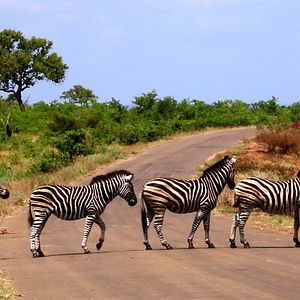Bilder Südafrika - Der Kinofilm