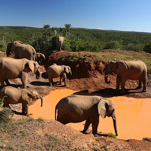 Bilder Südafrika - Der Kinofilm