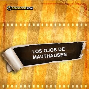 Bilder Los ojos de Mauthausen