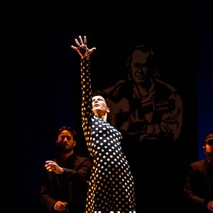 Bilder Sara Baras: Todas las voces