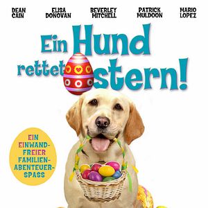 Bilder Ein Hund rettet Ostern