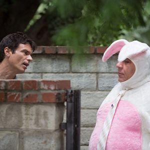 Bilder Ein Hund rettet Ostern