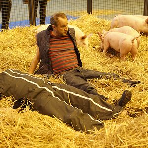 Bilder Gustave Kervern