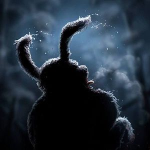 Bilder Matti Kiviniemi