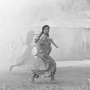 Bilder Der Schamane und die Schlange - Eine Reise auf dem Amazonas