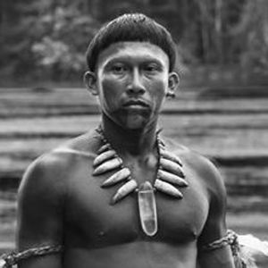 Bilder Nilbio Torres