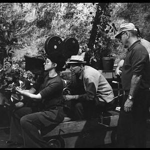 Bilder Einst kommt der Tag