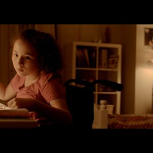 Bilder Zugvögel - Wenn Freundschaft Flügel verleiht