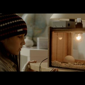 Bilder Zugvögel - Wenn Freundschaft Flügel verleiht