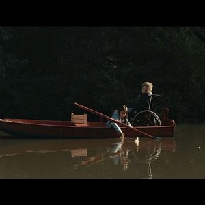 Bilder Zugvögel - Wenn Freundschaft Flügel verleiht