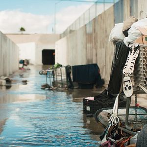 Bilder Above and Below