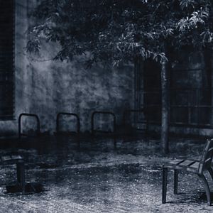 Bilder La Moitié d'un frère