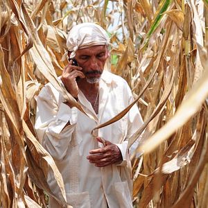 Bilder Todos tus muertos