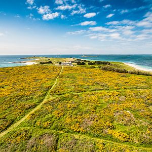 Bilder Kommissar Dupin - Bretonische Brandung