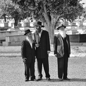 Bilder L'Orchestre de minuit