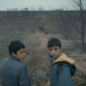 Bilder Mavi Bisiklet