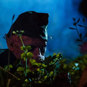 Bilder Gnome Alone - Gartenzwerg des Grauens