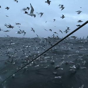 Bilder Seuls ensemble