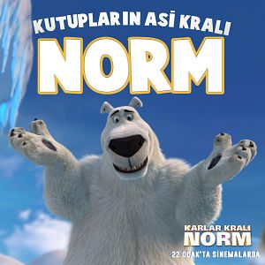 Bilder Norm - König der Arktis