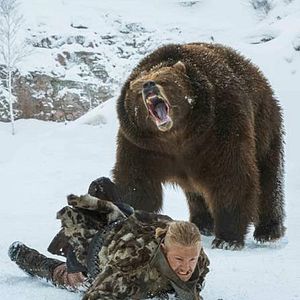 Bilder Alexander Ludwig