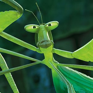 Bilder Kung Fu Panda 3