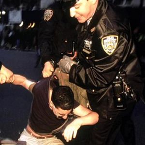 Bilder The Seven Five