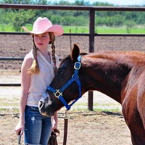 Bilder Die Magie der Pferde