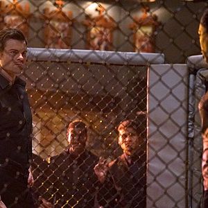 Bilder Daniel Gillies