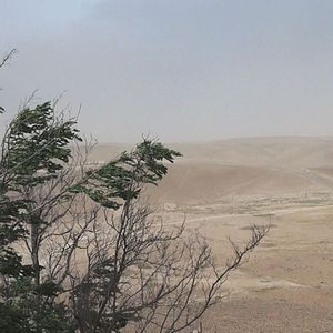 Bilder No Home Movie