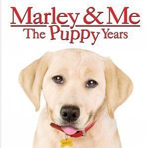 Bilder Marley & Ich 2 - Der frechste Welpe der Welt