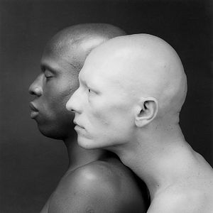 Bilder Mapplethorpe: Look At The Pictures