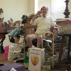 Bilder Sommer in Wien