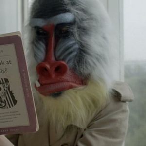 Bilder The Seasons in Quincy: Four Portraits of John Berger