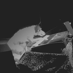 Bilder Heart Of A Dog