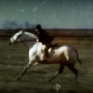 Bilder Heart Of A Dog